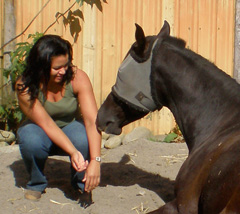 Dr. Michelle La Flamme